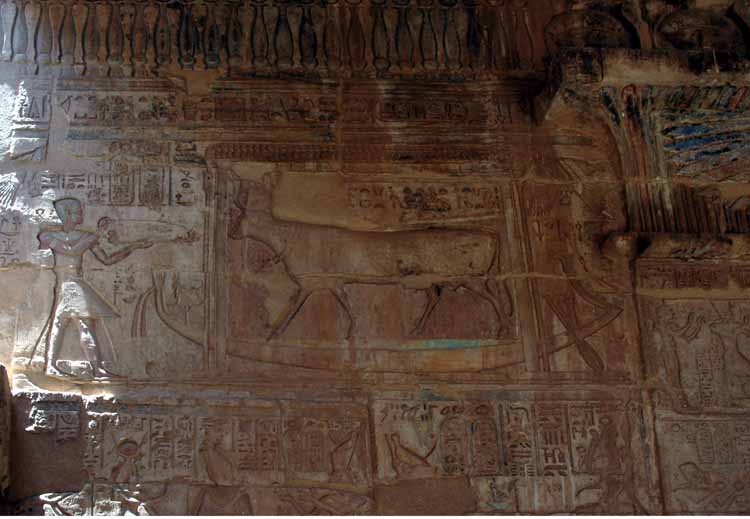 From the Vestibule towards the chapels.  Above the left chapel is a representation of Ptolemy offering to Hathor (as a Cow)