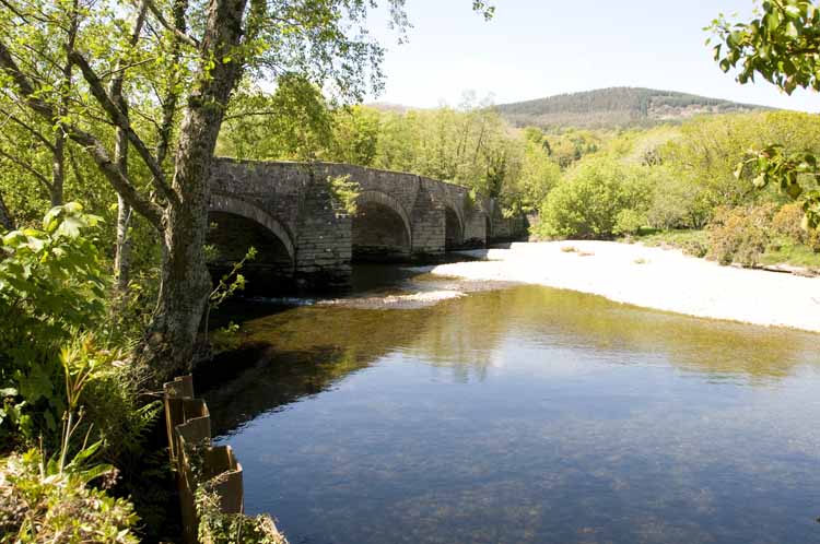 Cymmer_Abbey_28_2013