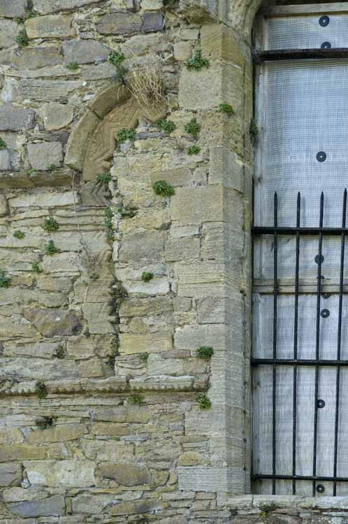 Jerpoint Abbey Cistercian Ireland 142