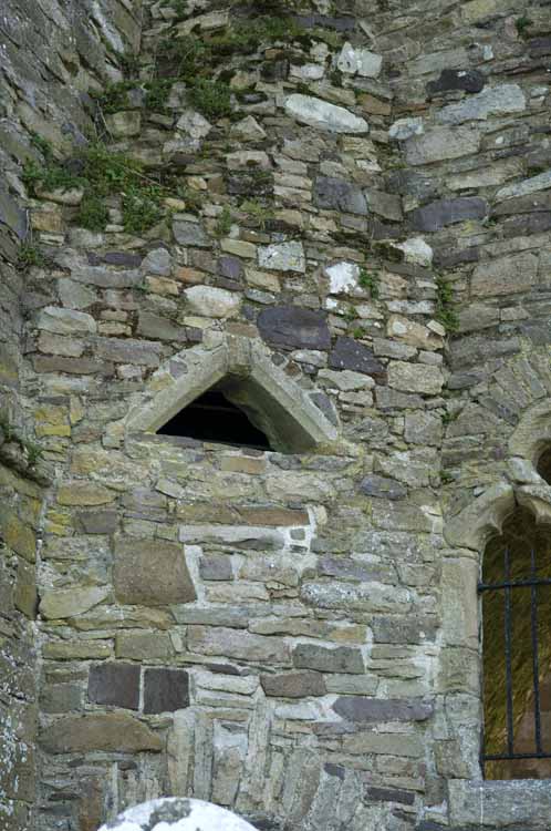 Jerpoint Abbey Cistercian Ireland 146