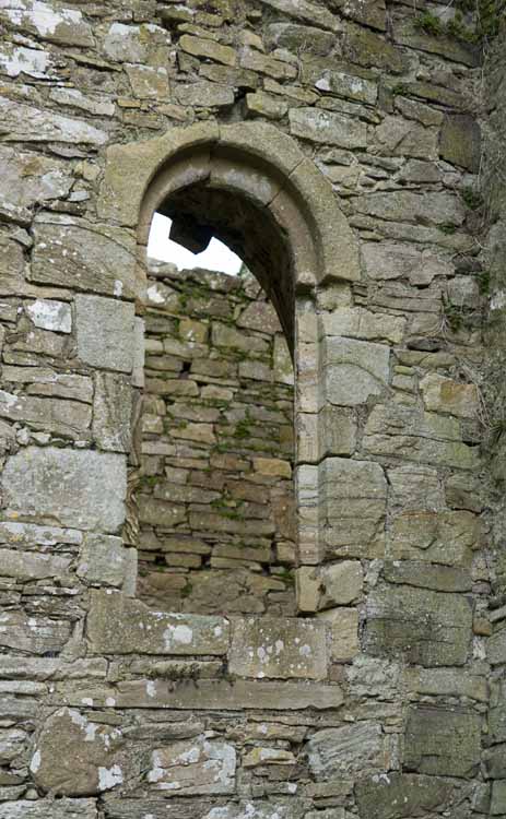 Jerpoint Abbey Cistercian Ireland 148