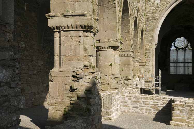 Jerpoint Abbey Cistercian Ireland 161