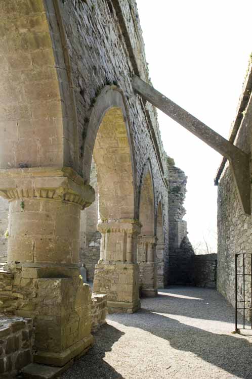 Jerpoint Abbey Cistercian Ireland 169