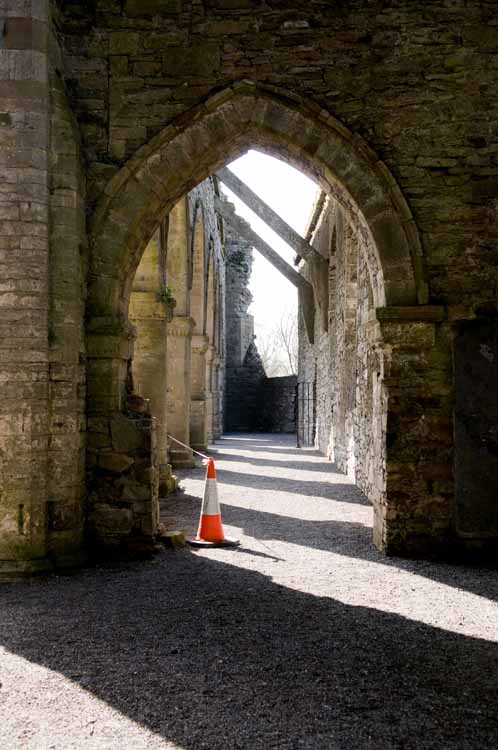 Jerpoint Abbey Cistercian Ireland 191