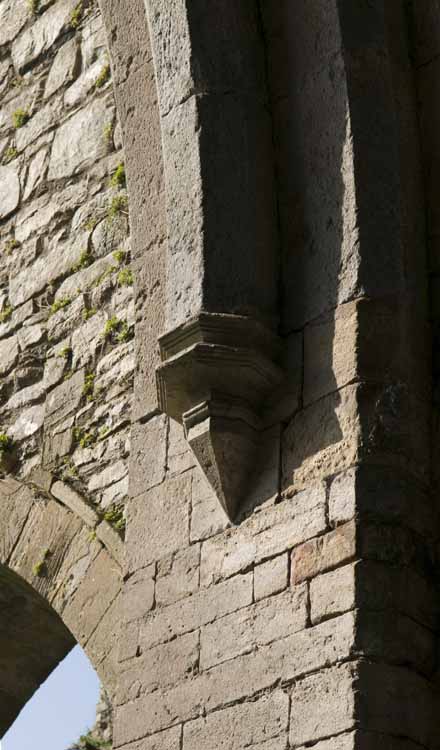 Jerpoint Abbey Cistercian Ireland 195