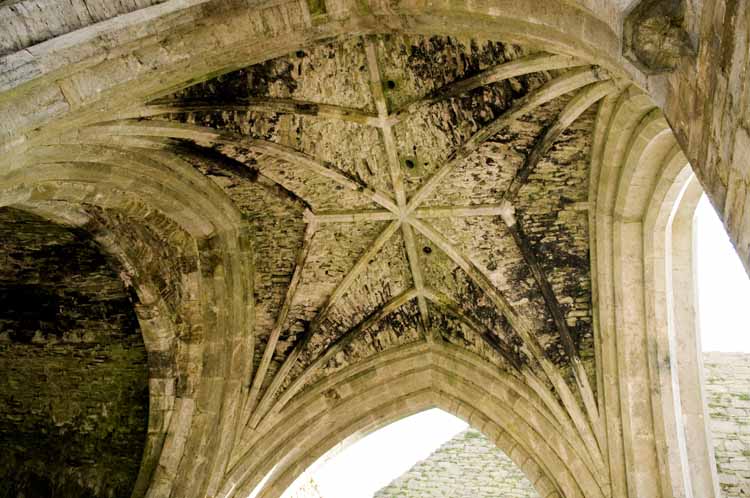 Jerpoint Abbey Cistercian Ireland 197