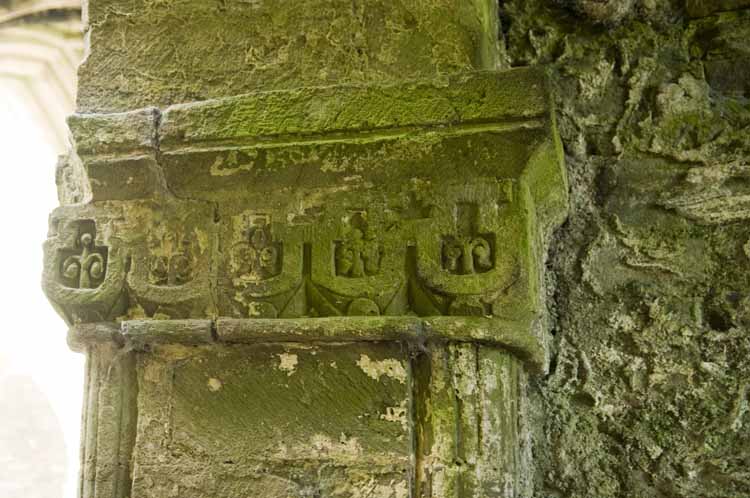 Jerpoint Abbey Cistercian Ireland 219