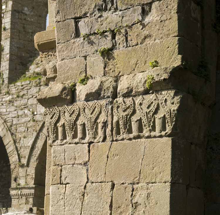 Jerpoint Abbey Cistercian Ireland 231