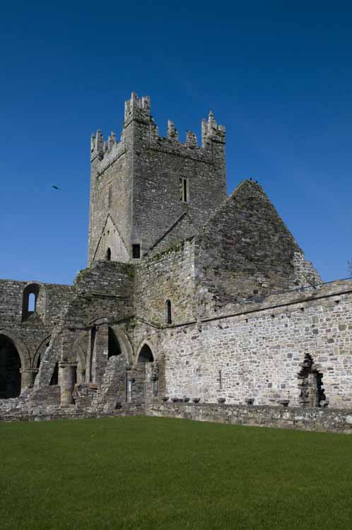 Jerpoint Abbey Cistercian Ireland 297