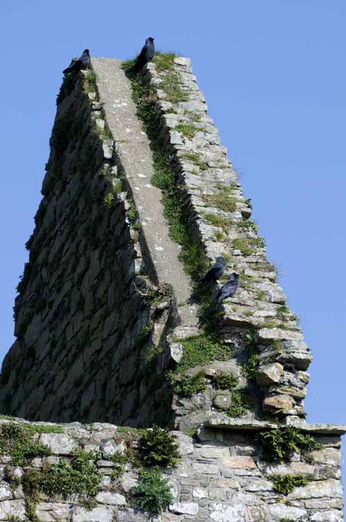 Jerpoint Abbey Cistercian Ireland 349