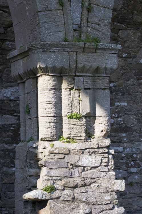 Jerpoint Abbey Cistercian Ireland 357