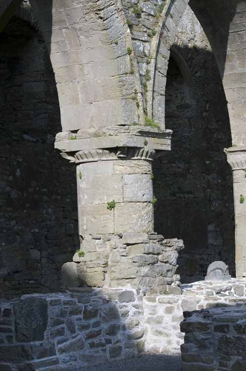 Jerpoint Abbey Cistercian Ireland 359