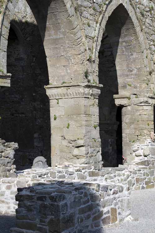 Jerpoint Abbey Cistercian Ireland 360