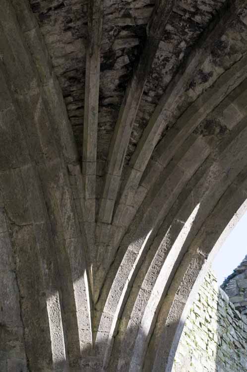 Jerpoint Abbey Cistercian Ireland 372