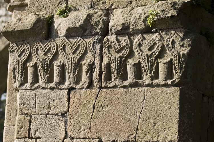 Jerpoint Abbey Cistercian Ireland 385