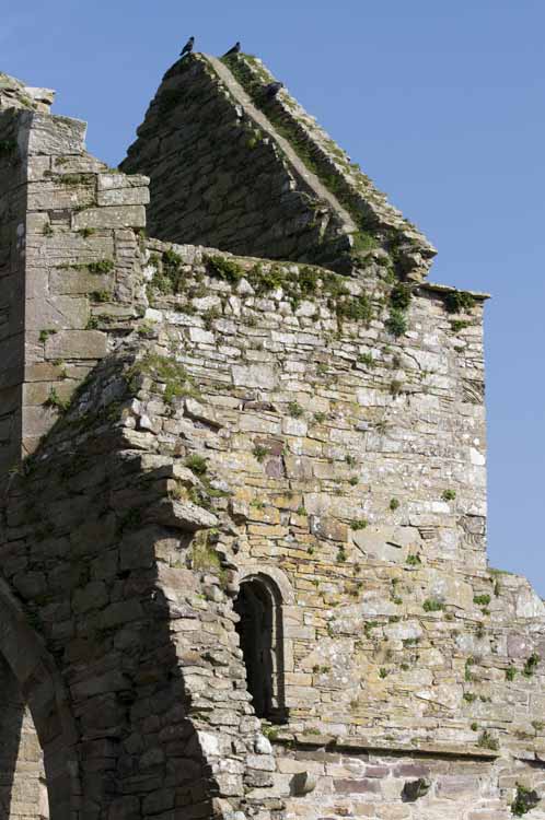 Jerpoint Abbey Cistercian Ireland 398