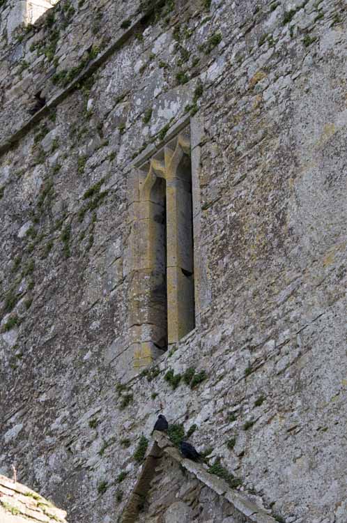 Jerpoint Abbey Cistercian Ireland 399