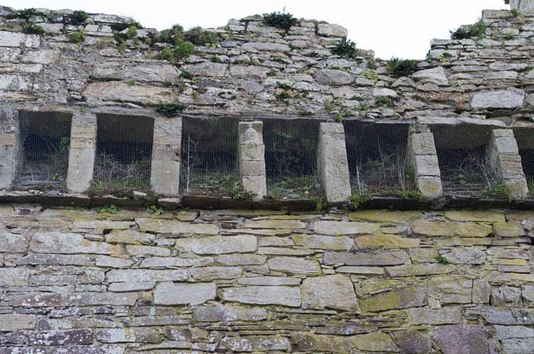 Jerpoint Abbey Cistercian Ireland 405