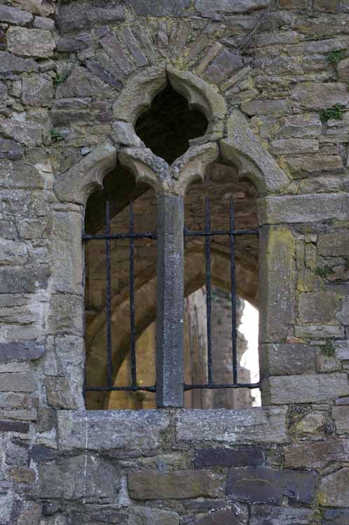 Jerpoint Abbey Cistercian Ireland 406