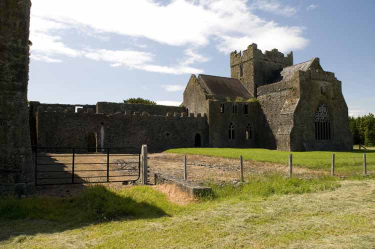 Kilcooly_Abbey_262_2013