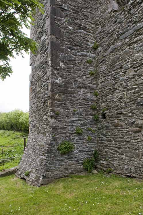 Mellifont_Abbey_007_2013