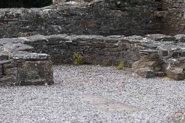 Mellifont_Abbey_129_2013