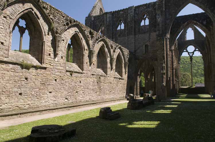 Tintern_Abbey_062