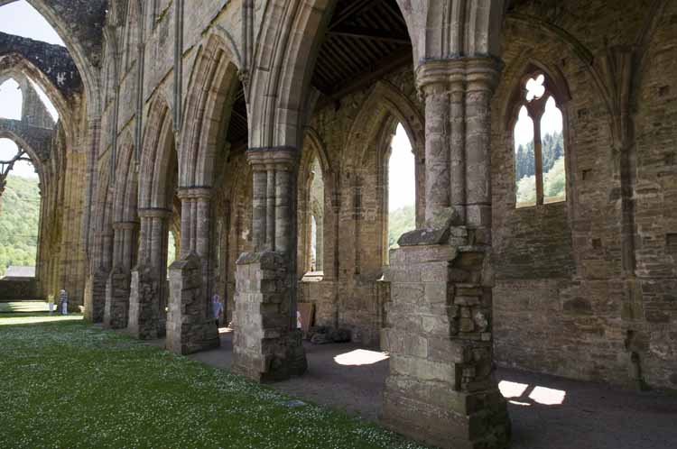 Tintern_Abbey_063