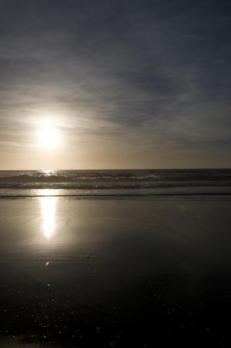 2008_March_1029