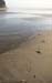 2008_March_1049