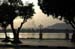 luxor_2004_097