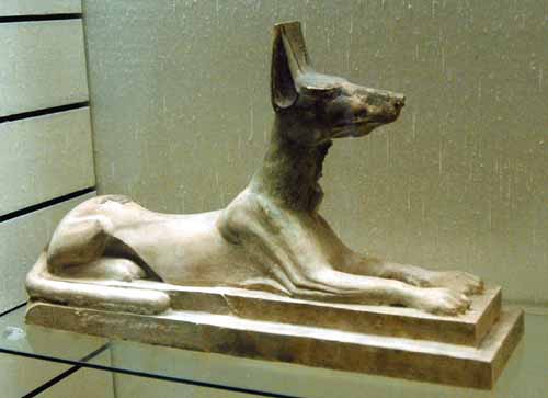 anubis
