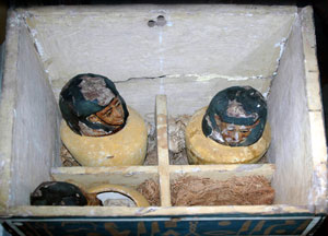 Canopic Jars of Nekht-Ankh