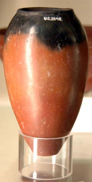 Petrie Museum (UCL) 076