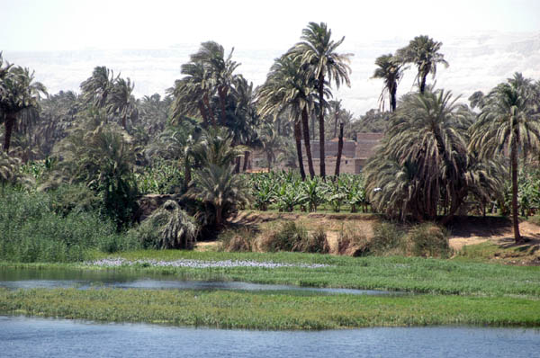 River Nile 010