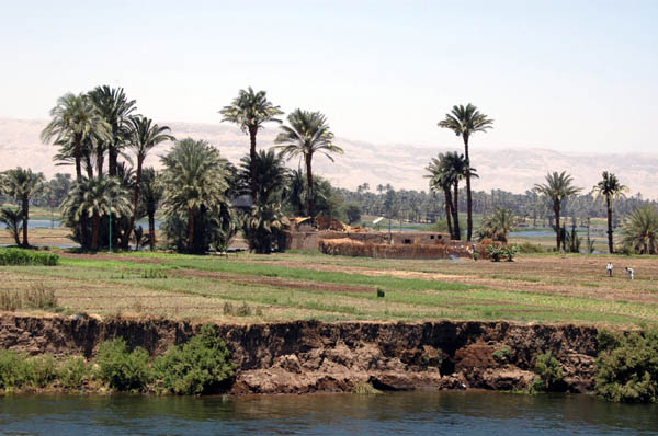 River Nile 015