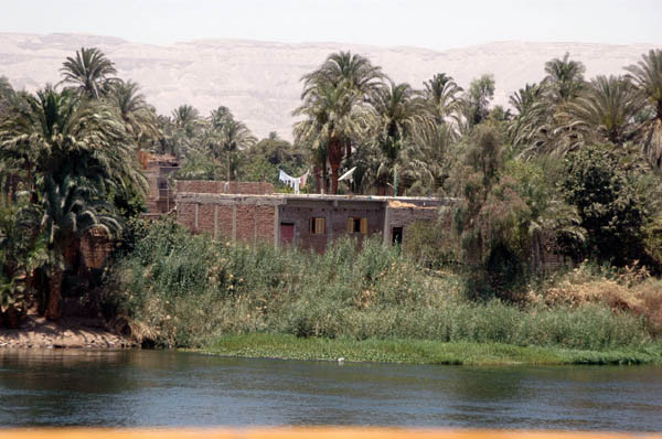 River Nile 019