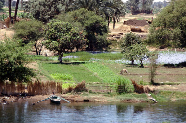 River Nile 021