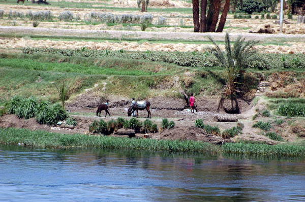 River Nile 031