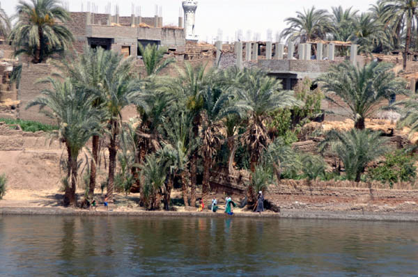 River Nile 032
