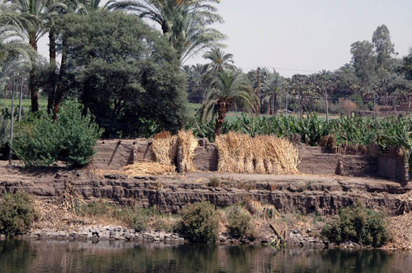 River Nile 043