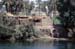 River Nile 040